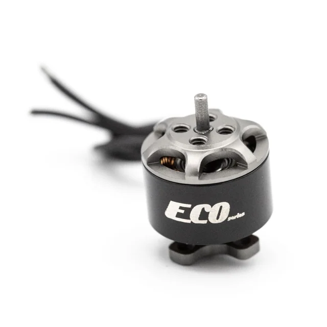 ECO 1106