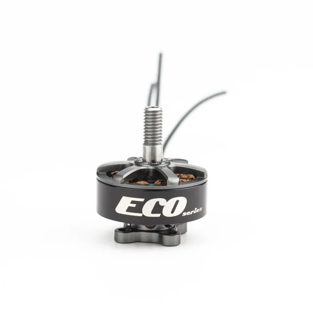 ECO 2207