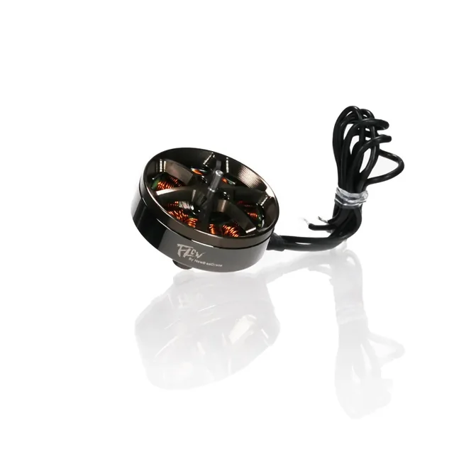 FLOW 2004 T-Mount