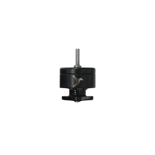 Hummingbird 0702 · Standard