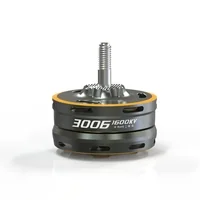 3006